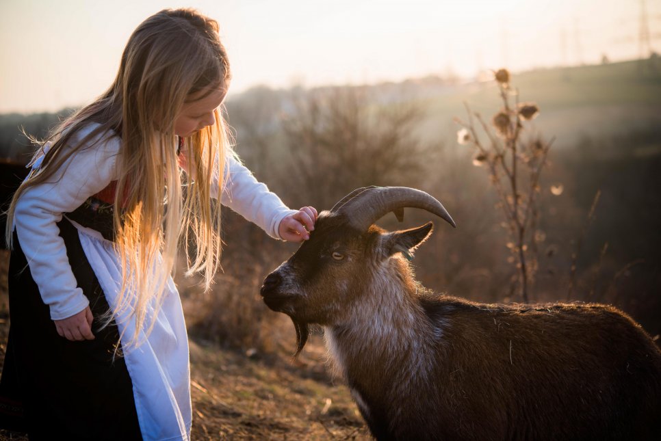 Neobyčejná přátelství dětí a zvířat